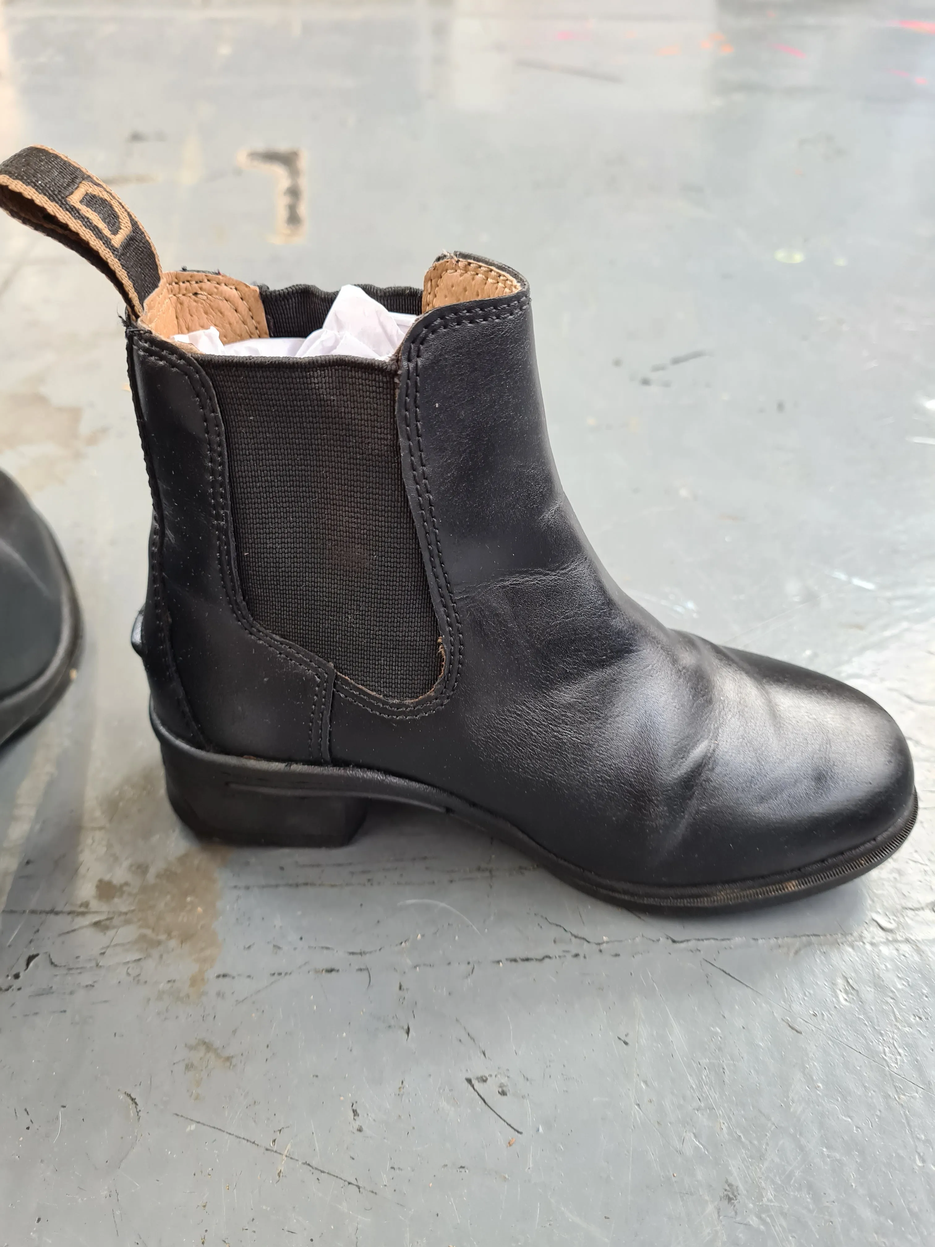 New children's size 11 Dublin jodhpurs boots