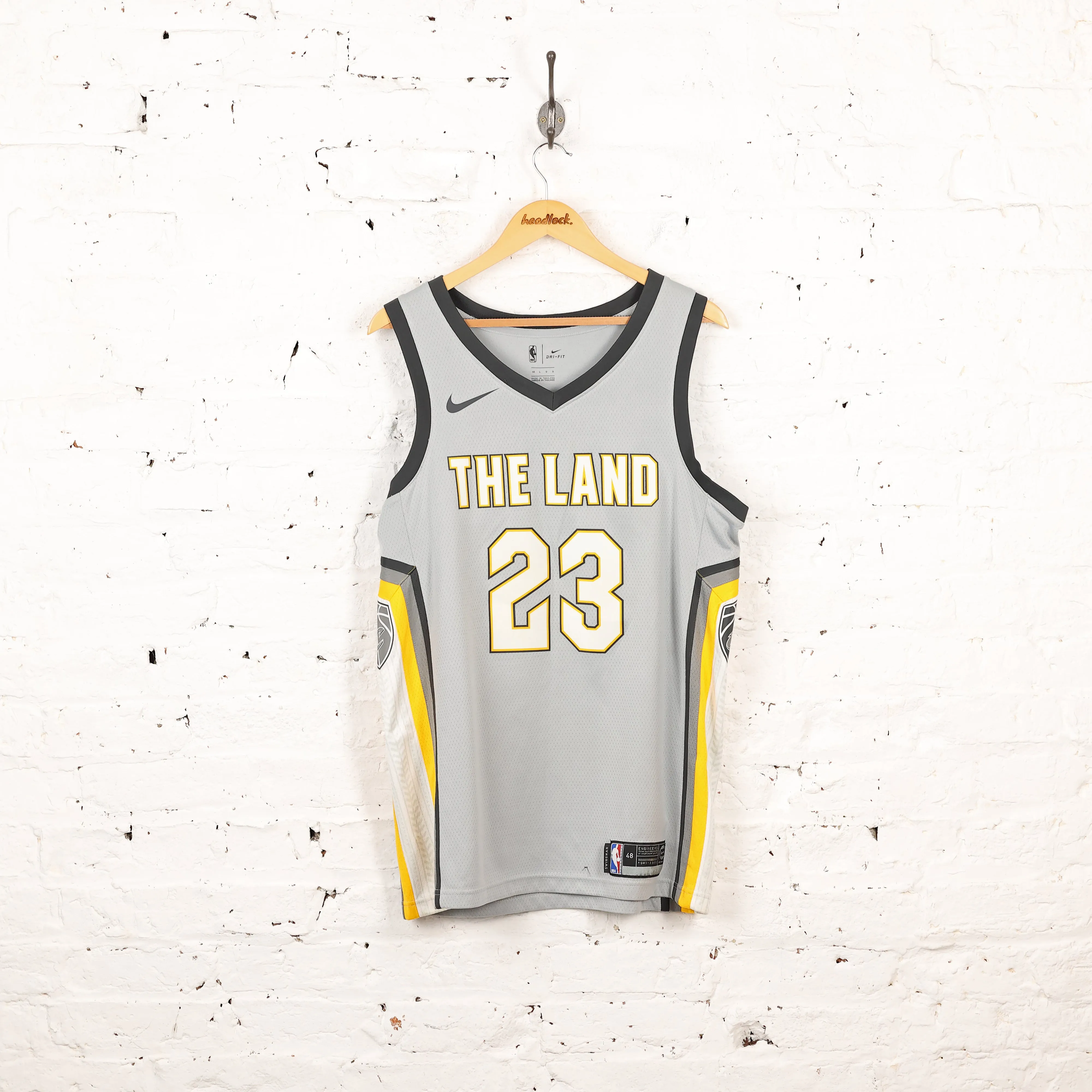 Nike Cleveland Cavaliers The Land James Basketball Vest Jersey - Grey - L