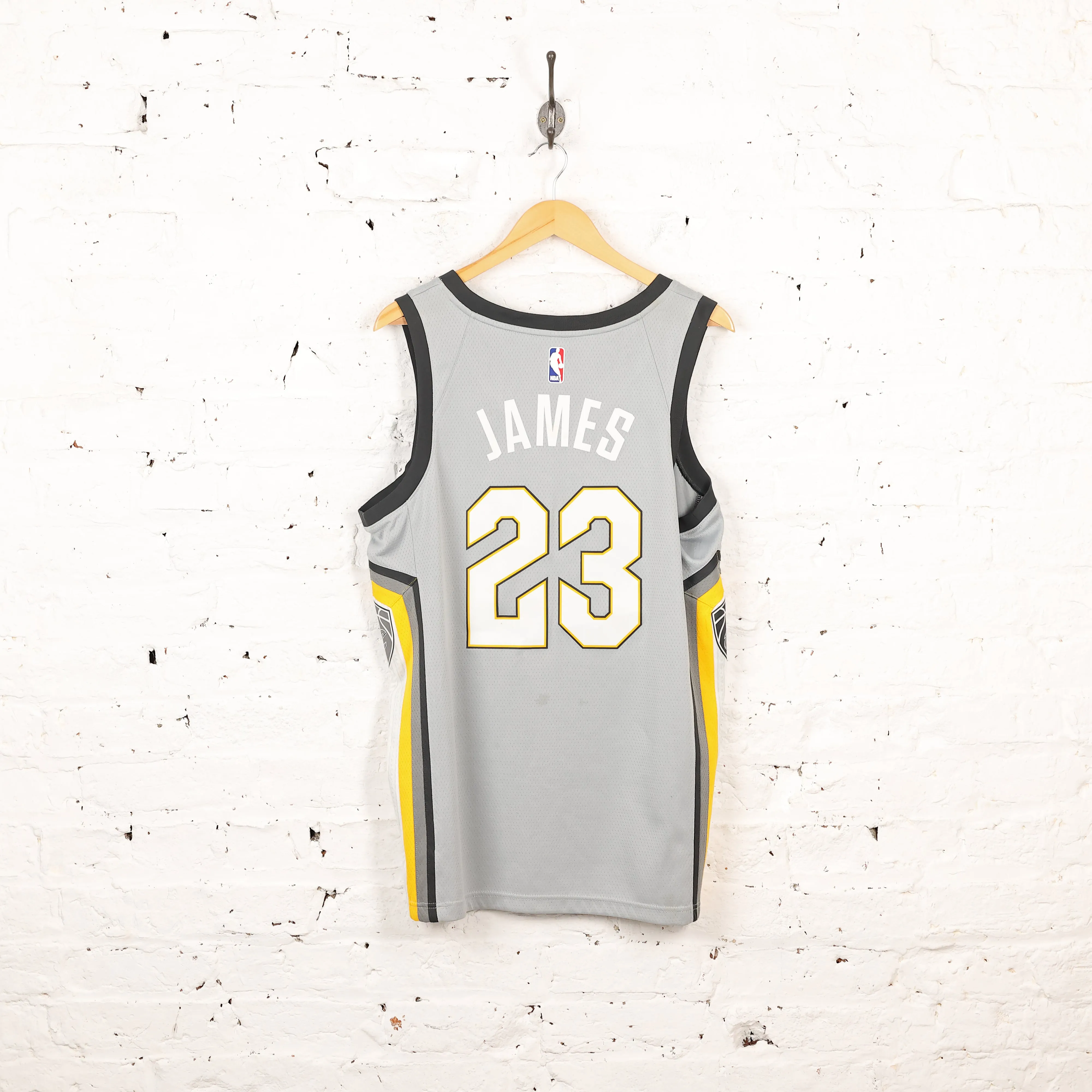 Nike Cleveland Cavaliers The Land James Basketball Vest Jersey - Grey - L