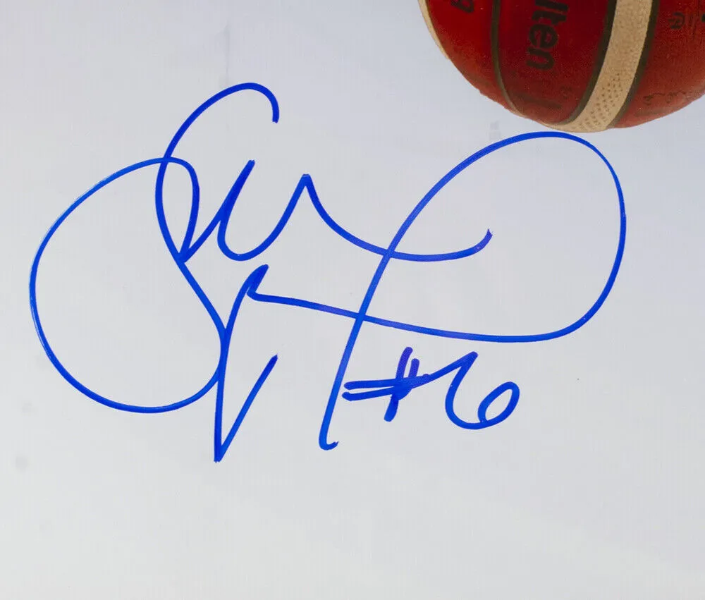 Sue Bird Signed Framed 16x20 USA Basketball Collage Photo JSA Steiner